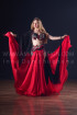 Professional bellydance costume (classic 188a)